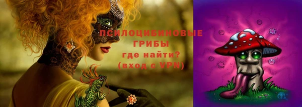 тгк Алзамай