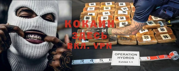 твердый Новокубанск