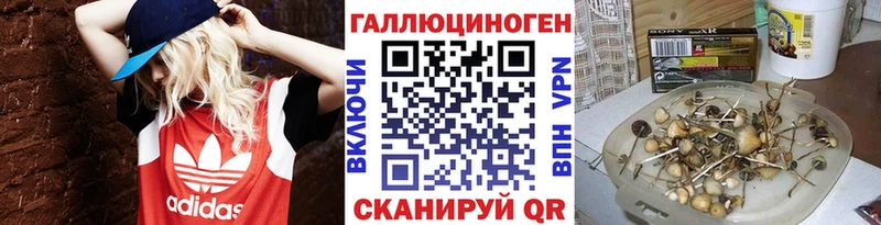 дарнет шоп Нижний Тагил Галлюциногенные грибы Magic Shrooms