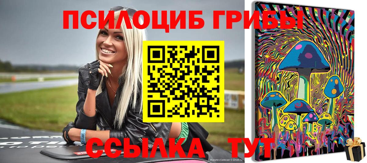 Галлюциногенные грибы Psilocybe  Галлюциногенные грибы ЛСД  Нижний Тагил  Вход с VPN 
