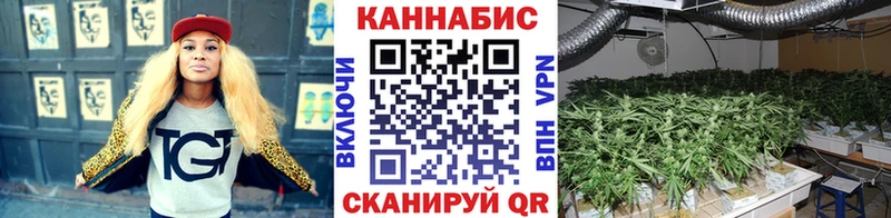блэк спрут ссылки Нижний Тагил Шишки марихуана Amnesia как найти